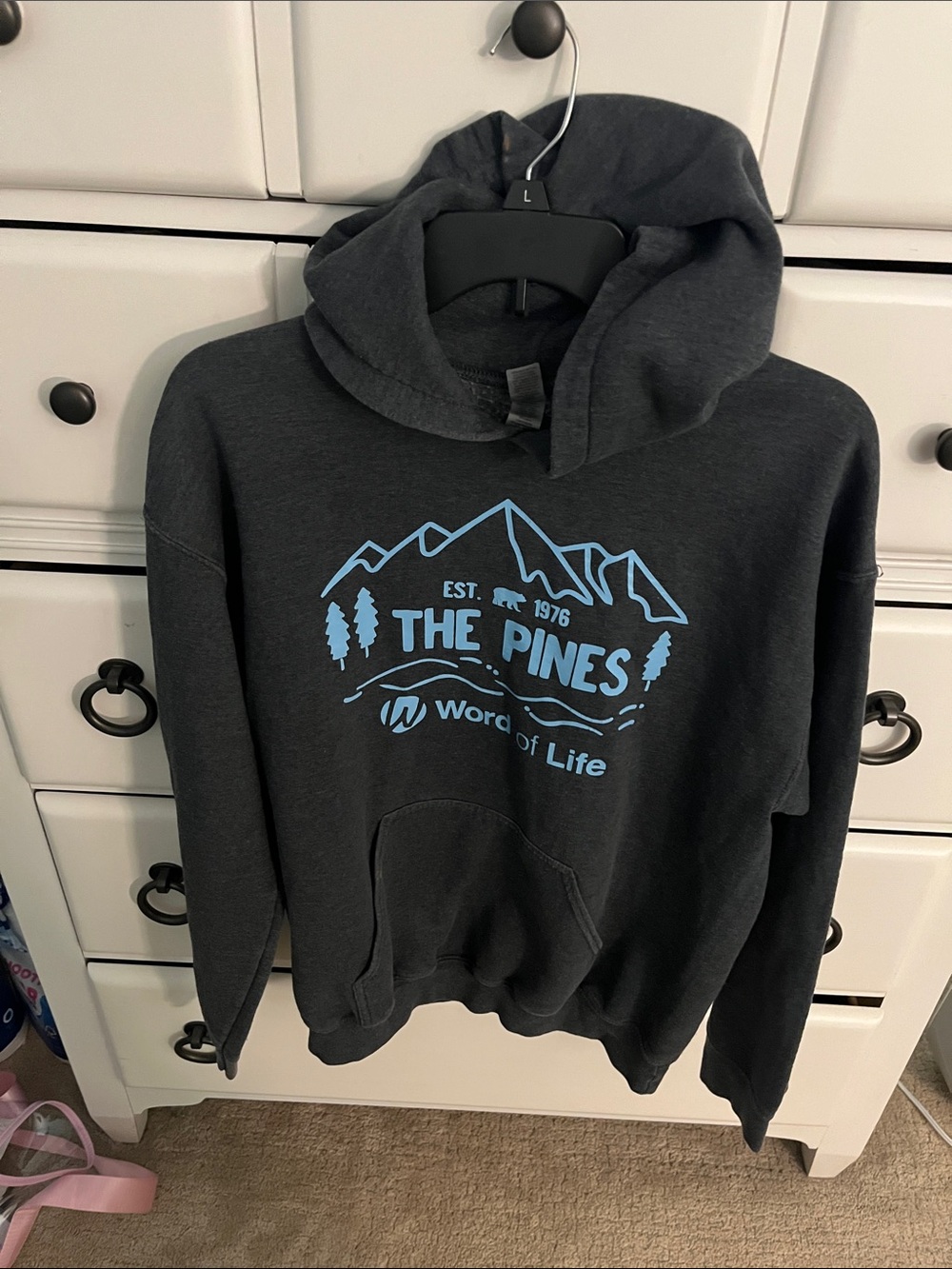 Gildan Dark Gray Hoodie with Light Blue "The Pines" Graphic